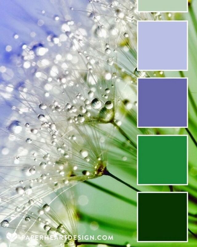 🦜 Pantone aasta 2022 värv on Very Peri. 🦜
See sinakas lilla on väga huvitav valik, uus värv mis leiutati ekstra aasta värvi jaoks. See värv tähistab üleminekuaega, milles me täna siin maailmas oleme. Värv, mis on veidi imelik ja esindab isiklikku loovust ja leidlikkust, mis on olnud viimasel ajal väga päevakohane. See on värv, mis tähistab transformatsiooni ja uuendusi.
Oma intensiivsuse poolest oleks seda värvi ainuisikulisena vast liiast, kuid see sobib imehästi kokku rohekate ja sinakate toonidega. Minu arust on see värv julgetele ja julgete päralt on maailm, kas pole nii?

Photocredit @paperheartdesign 
#coloroftheyear #pantone #veryperi #interiordesign #colorful #homes #colorfullife #kairiinteriordesign